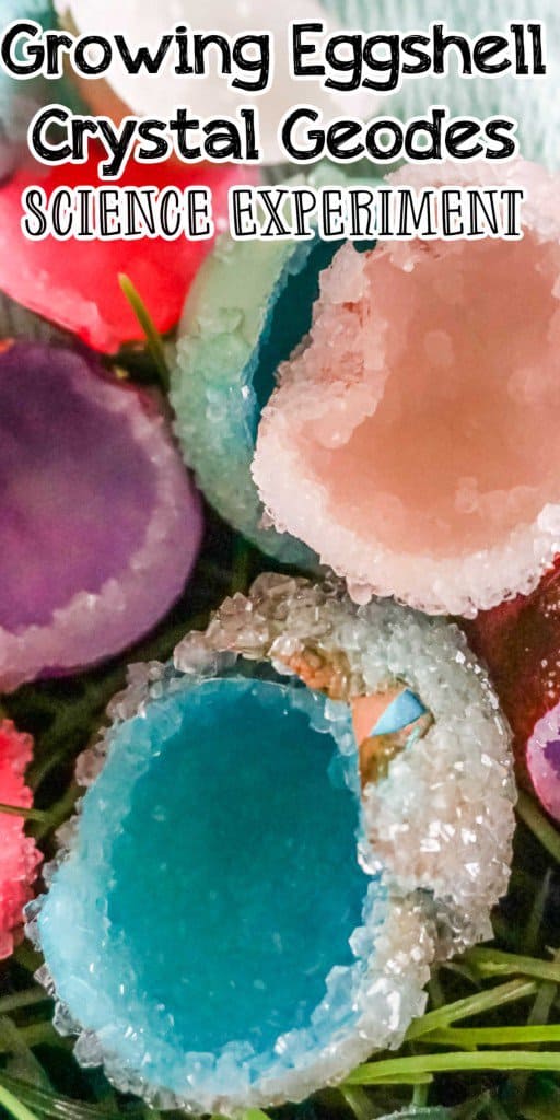 Growing Eggshell Crystal Geodes Science Experiment
