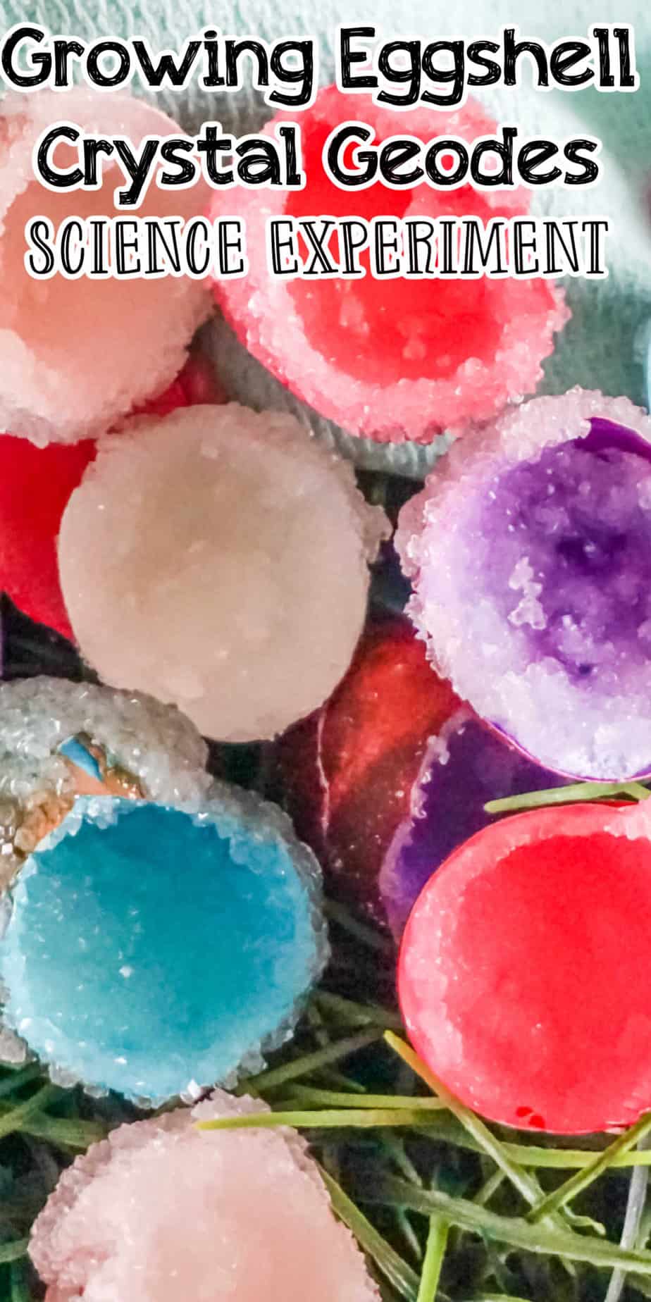 Growing Eggshell Crystal Geodes Science Experiment