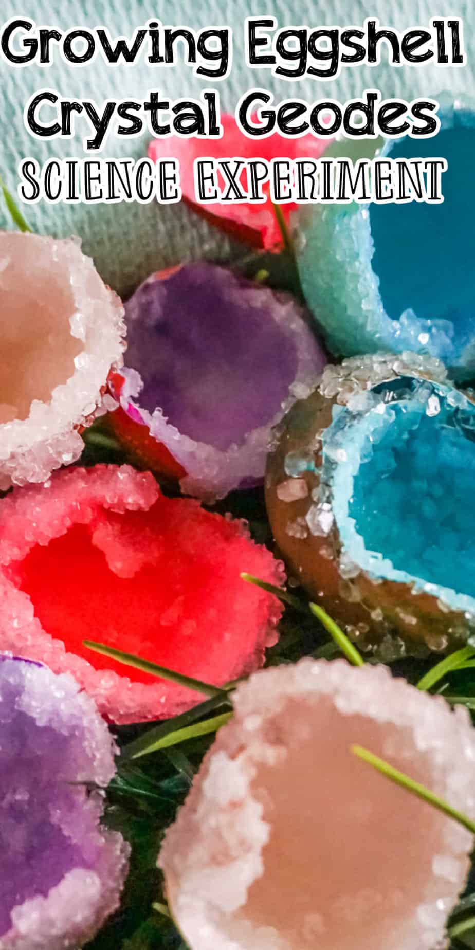 Growing Eggshell Crystal Geodes Science Experiment