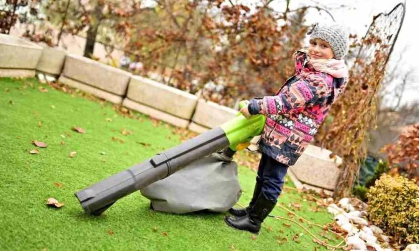 Best Gas vs Electric Leaf Blower Which Type Do You Choose?