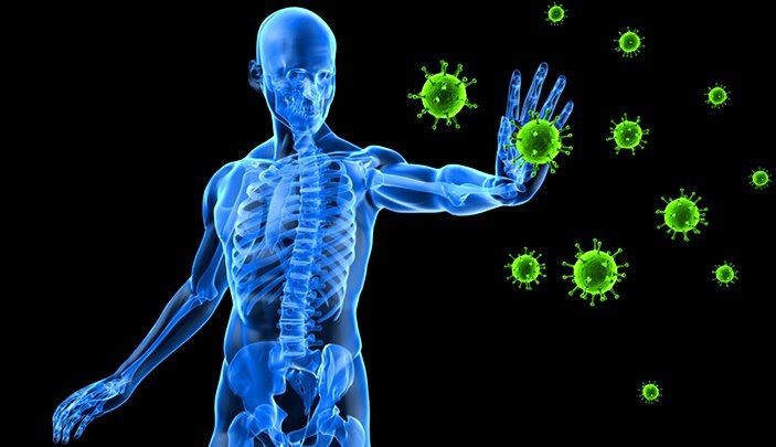 Immune toufikjust