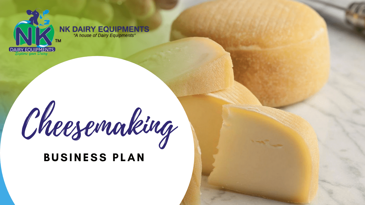 What are the steps to set up your cheese and paneermaking business India?
