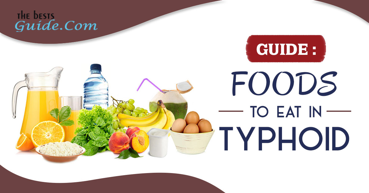 Guide Foods To Eat in Typhoid