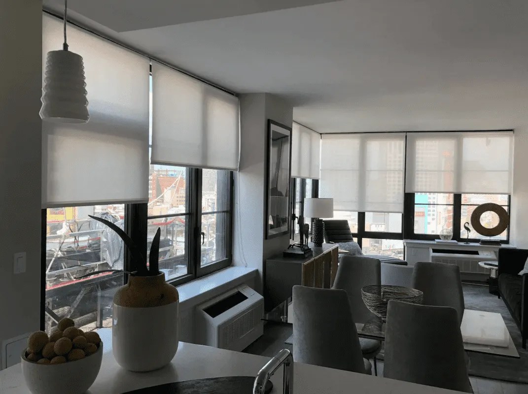 Roller Shades in NYC The Best Shades