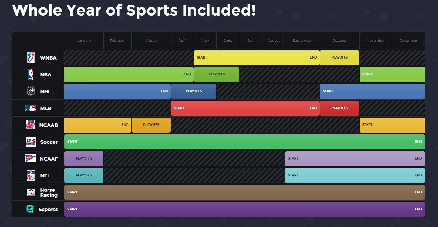 The Best Sports Betting Software The Best Sports Betting Software