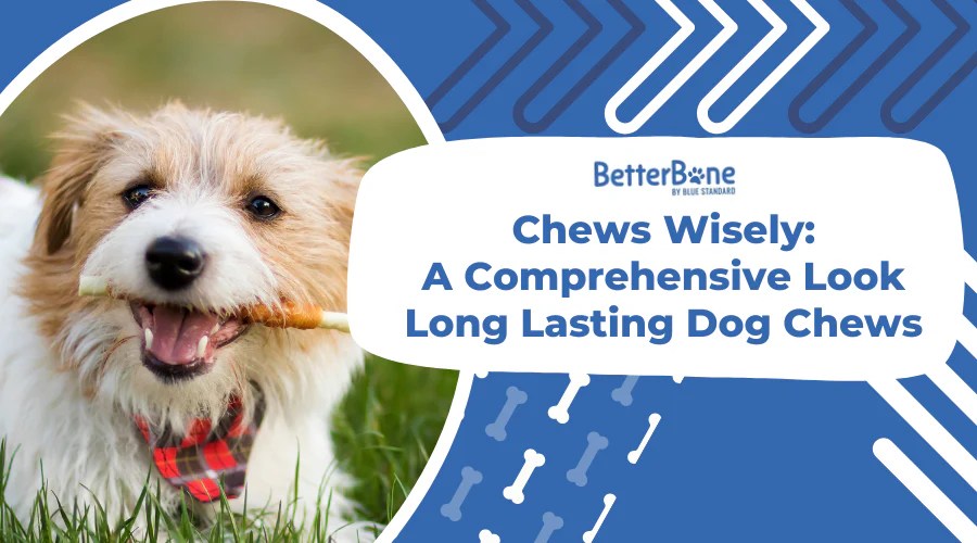 Chews Wisely A Comprehensive Look Long Lasting Dog Chews BetterBone