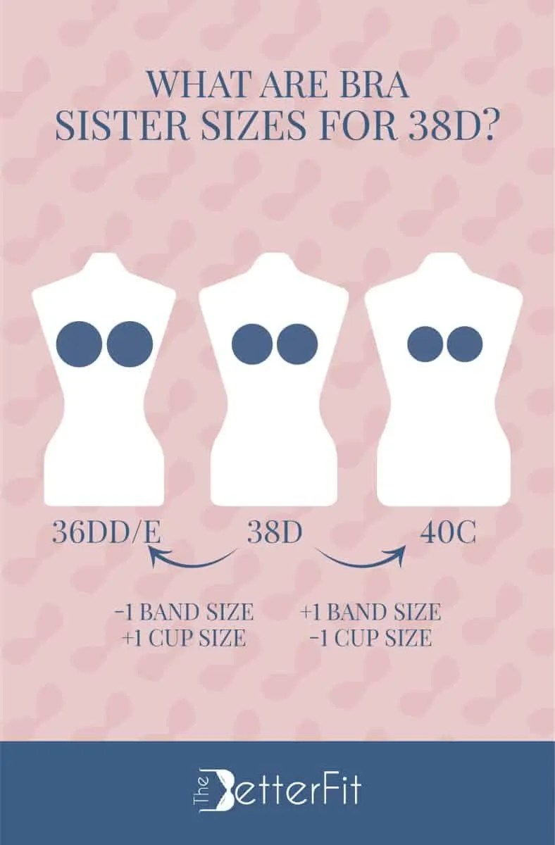 How Big Is a 38D Bra Cup Size? TheBetterFit