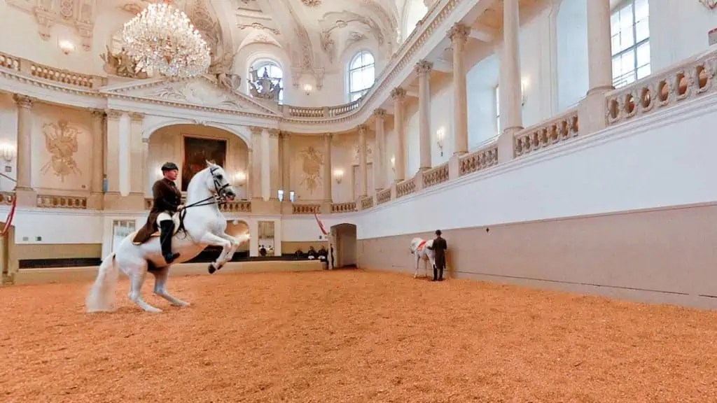 Spanish Riding School tickets, prices, morning exercise, performances
