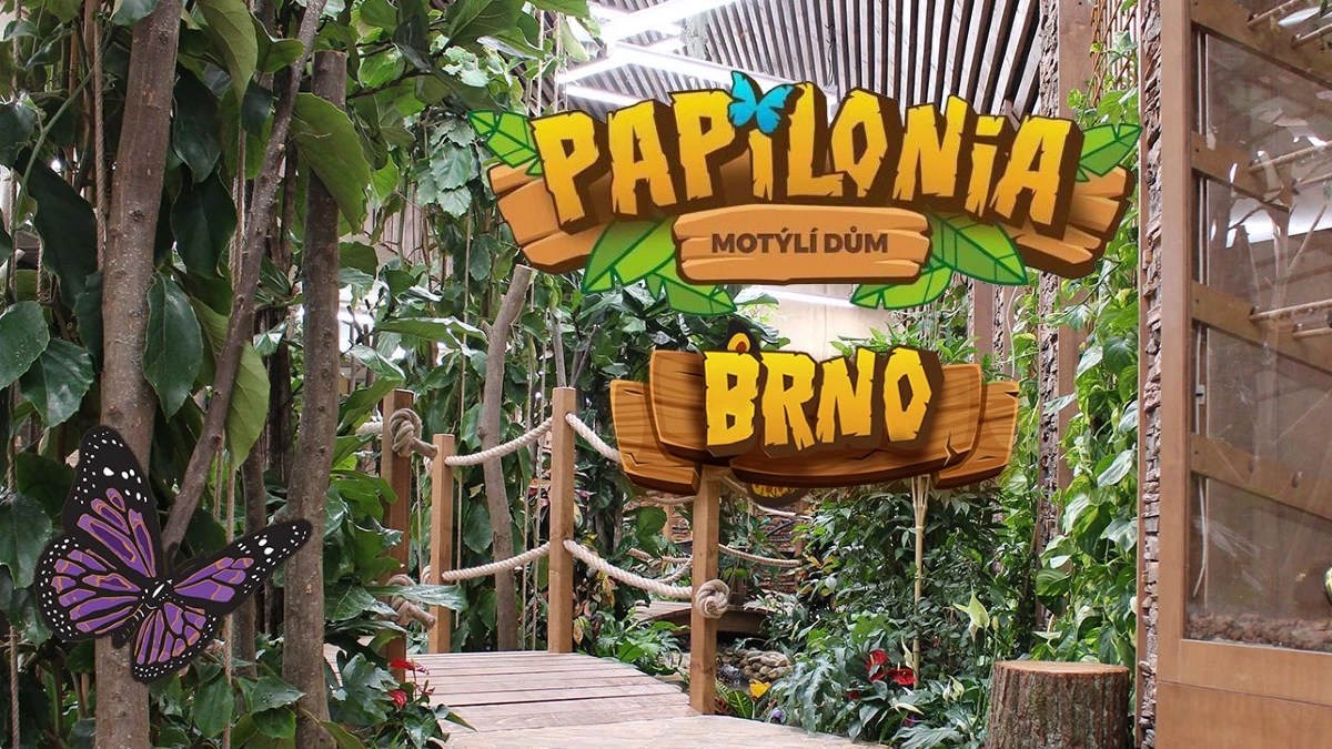 Papilonia Butterfly House tickets, prices, discounts, what to expect
