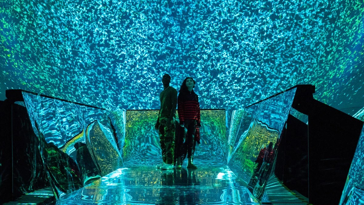 Light Art Museum Visitor Guide with Tickets, Hours, and Exhibitions