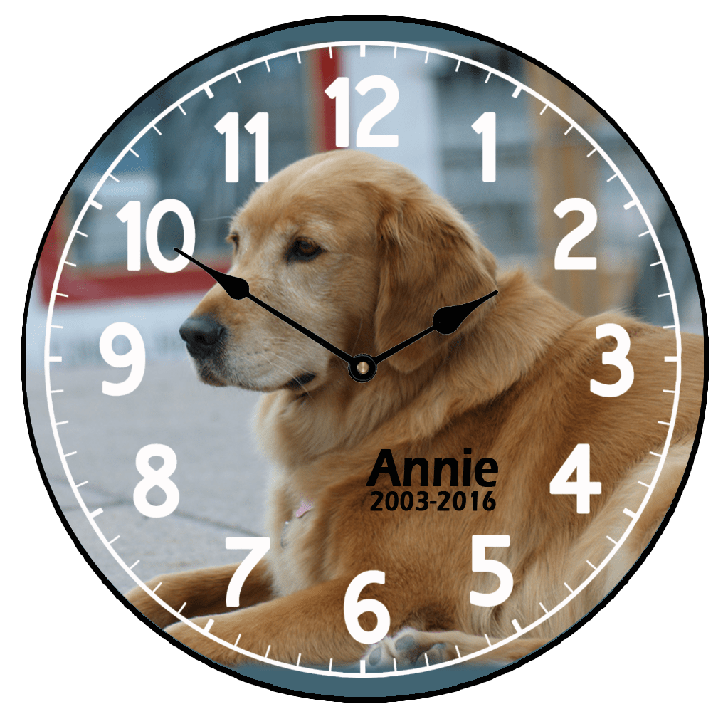 Pet Clocks Custom pet clock The Big Clock Store