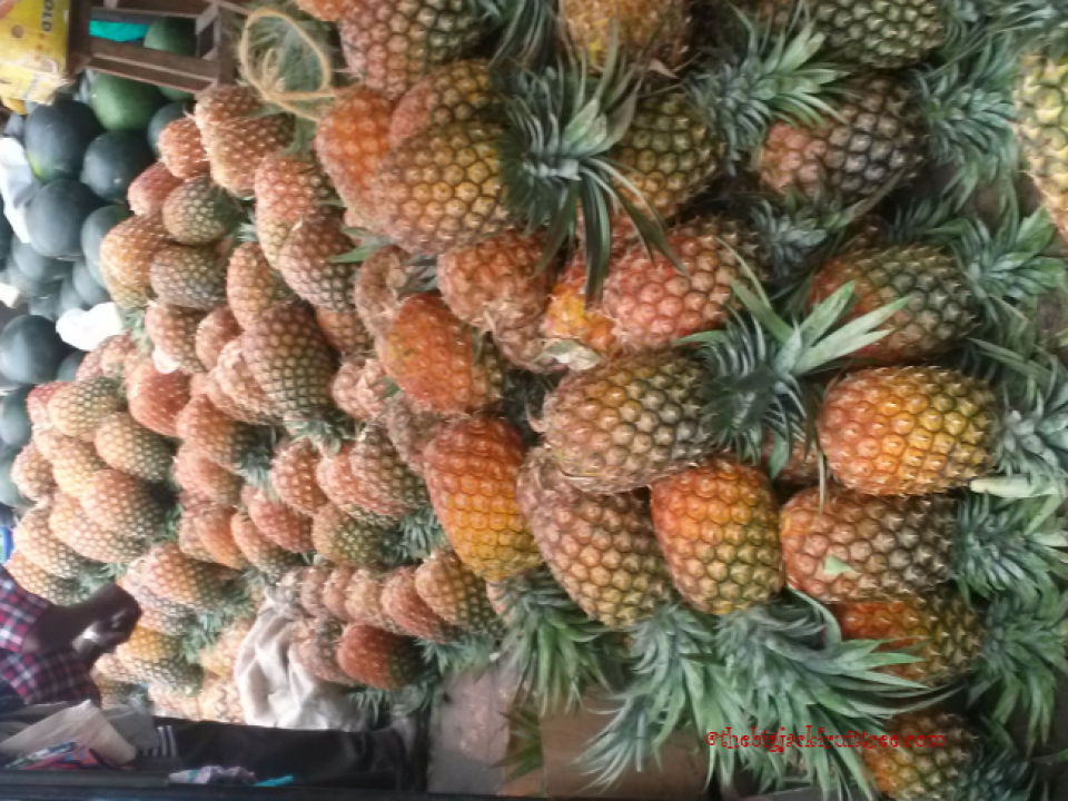 Ugandan Pineapples The Big Jackfruit Tree