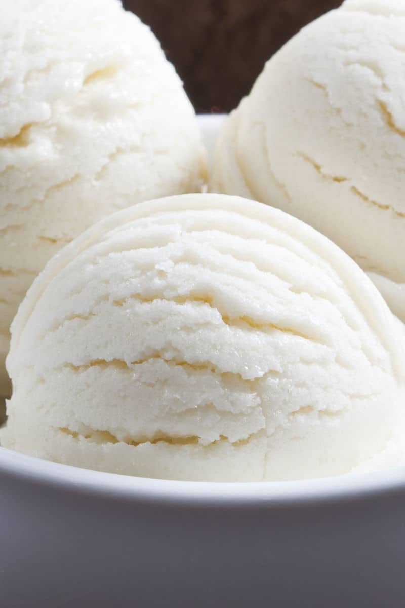 Coconut Milk Ice Cream {3 Ingredients!} The Big Man's World