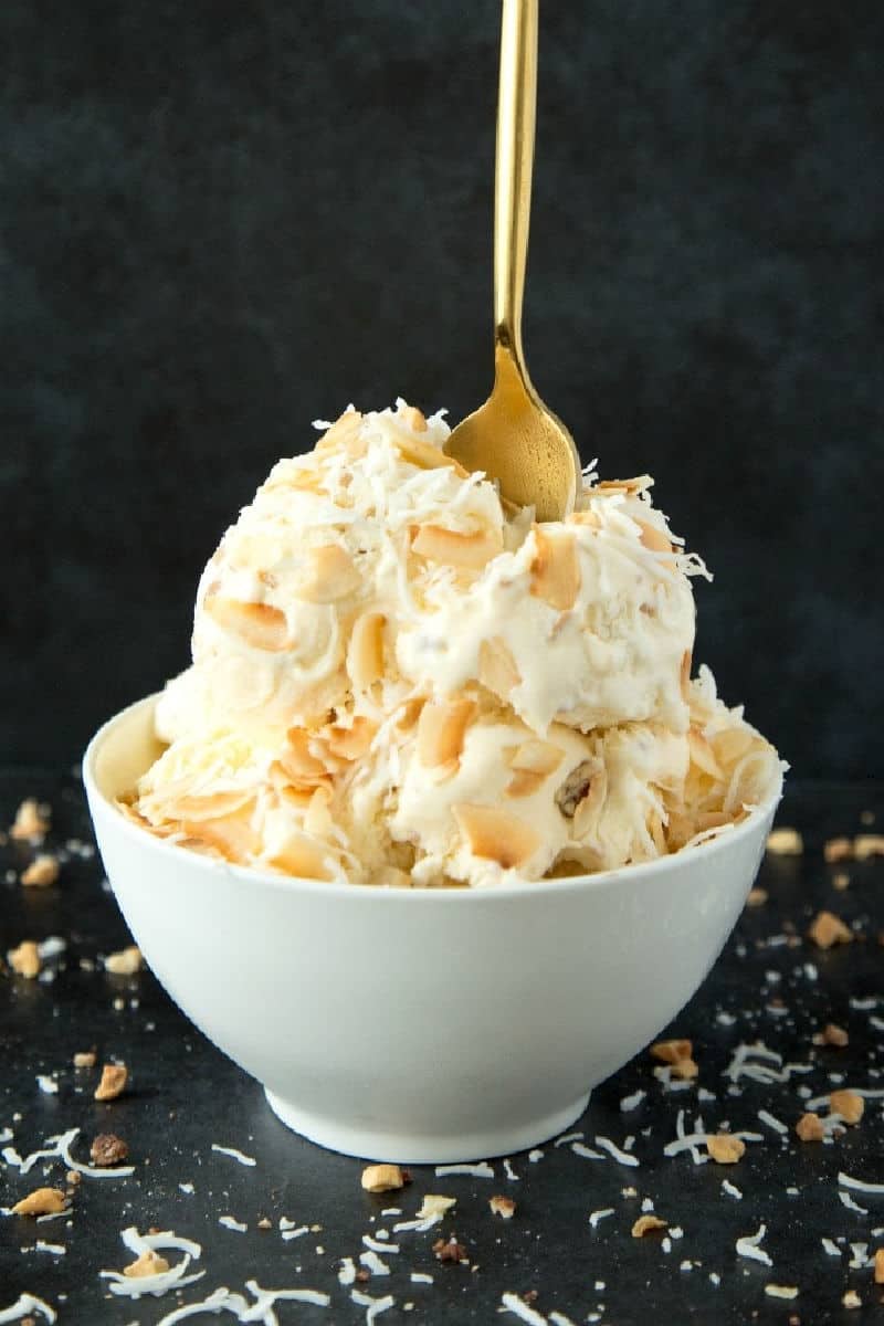 Coconut Milk Ice Cream {3 Ingredients!} The Big Man's World