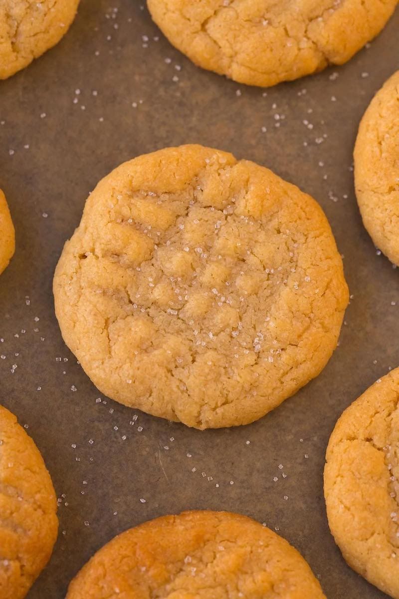 Sugar Free Christmas Cookies For Diabetics