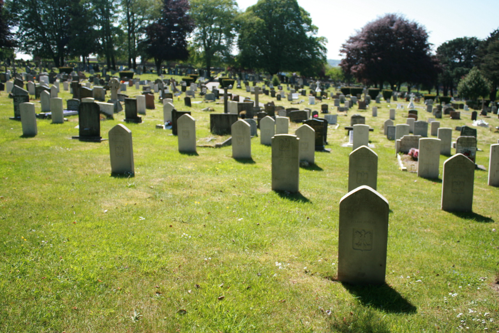 Weston Mill Cemetery Opening Times at Robert Cortes blog