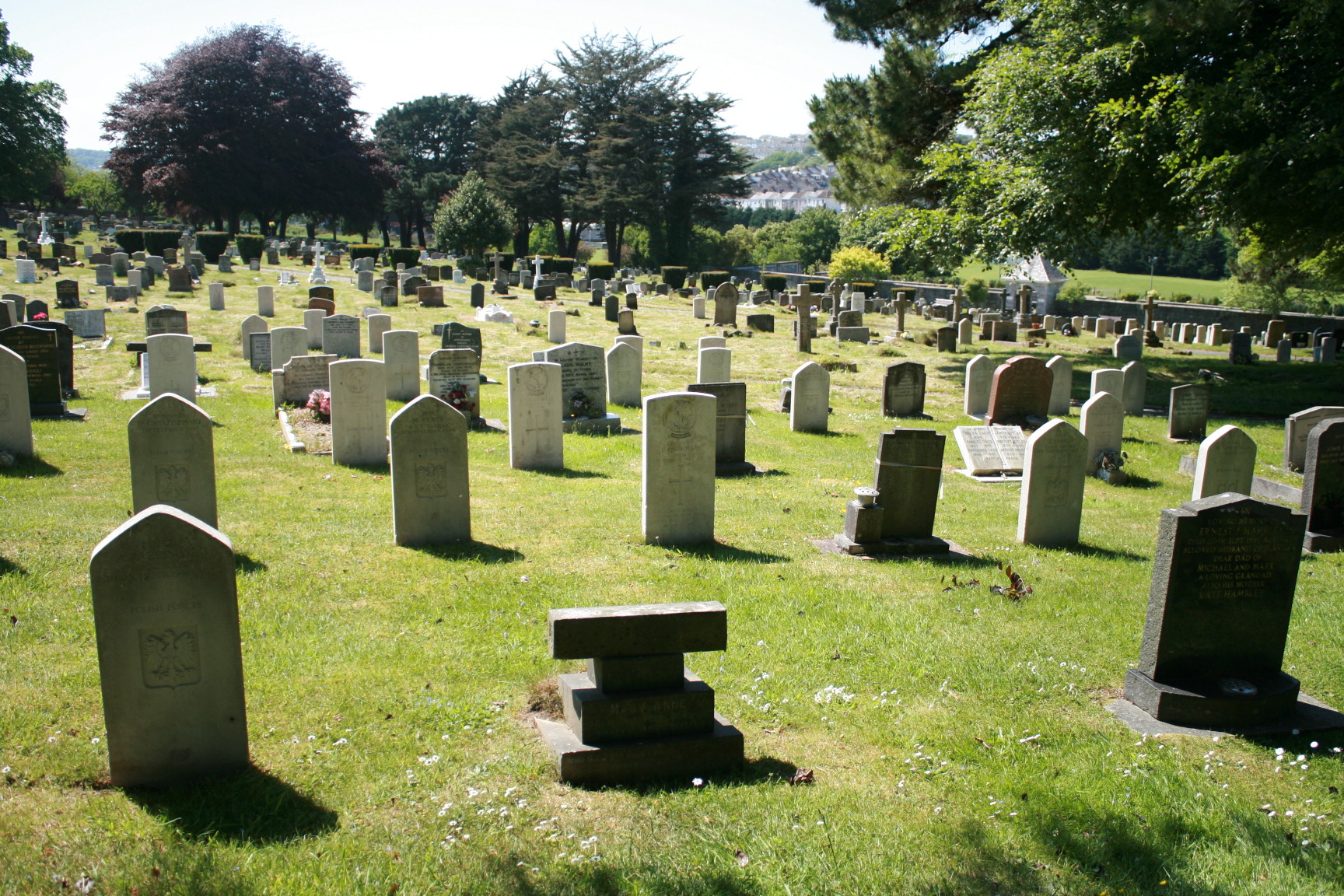 Plymouth Weston Mill Cemetery With the British Army in Flanders