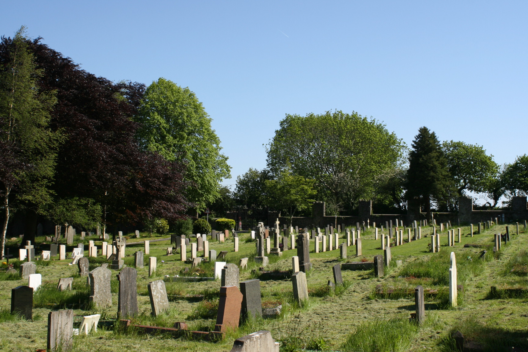 Plymouth Efford Cemetery Part Two With the British Army in Flanders