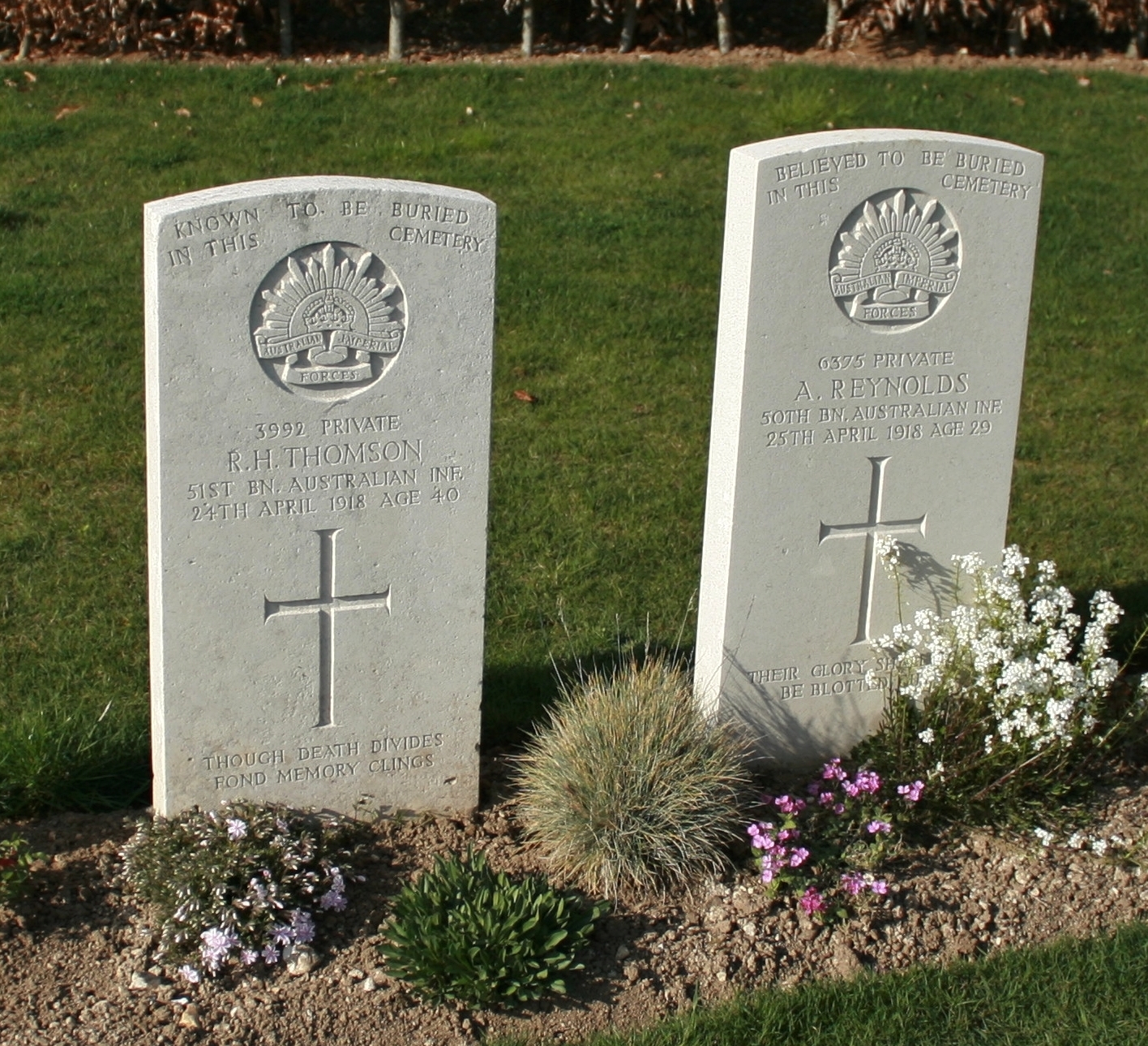 British Military Headstones The Rareties Part One Special Memorials