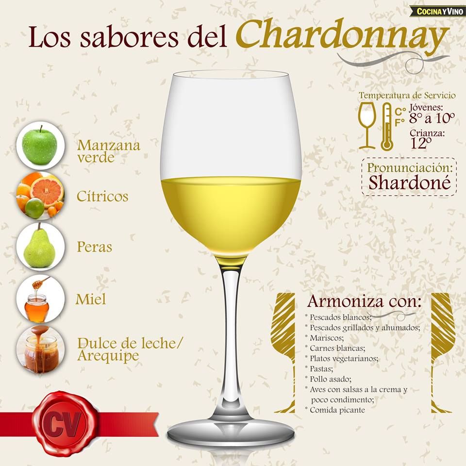 Lo que tenés que saber sobre el CHARDONNAY en una sola nota The Big
