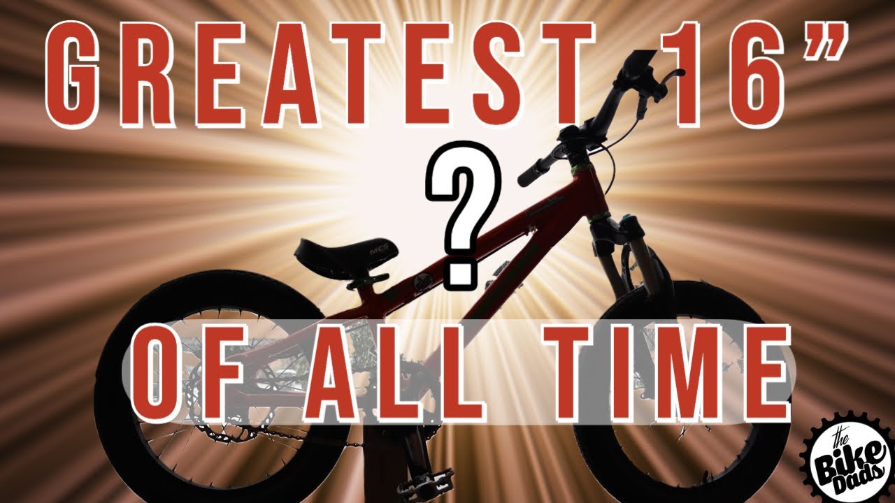 The Lil Shredder Icon the best 16" of all time? The Bike Dads