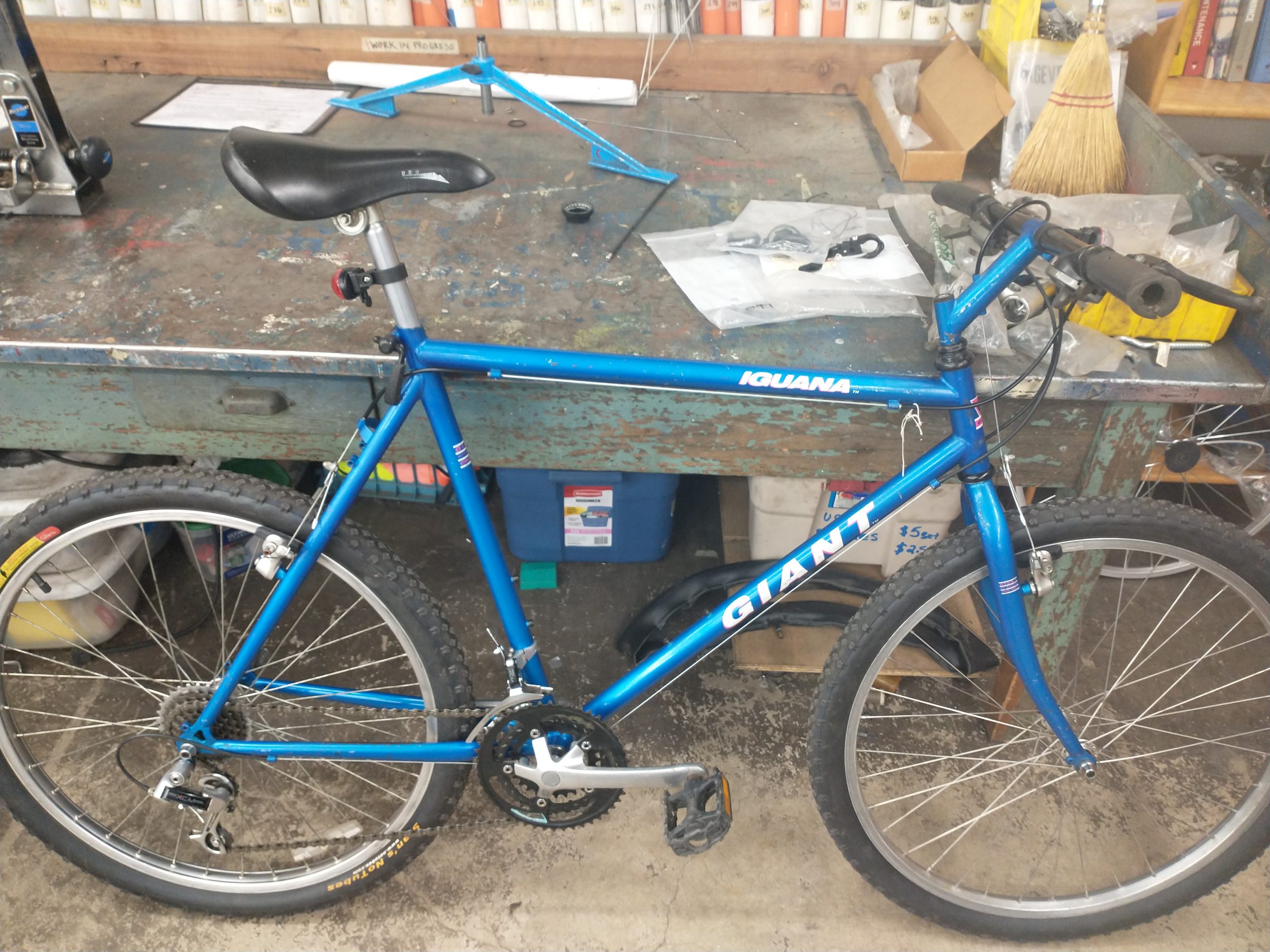 Giant Iguana The Bike Project of UrbanaChampaign