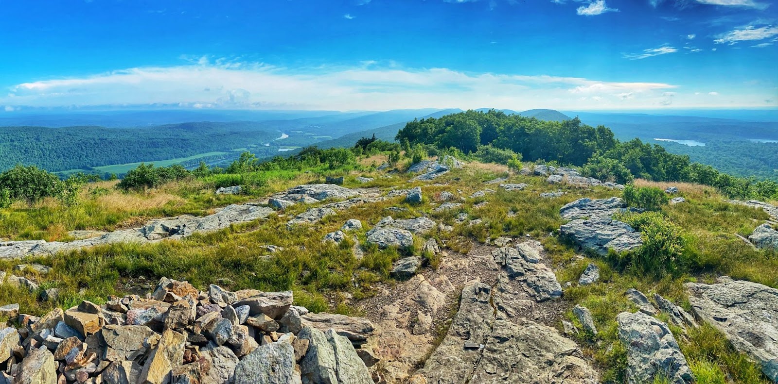 Top 17 Best Sites to Watch Hawk Migration in New Jersey The Bird Geek