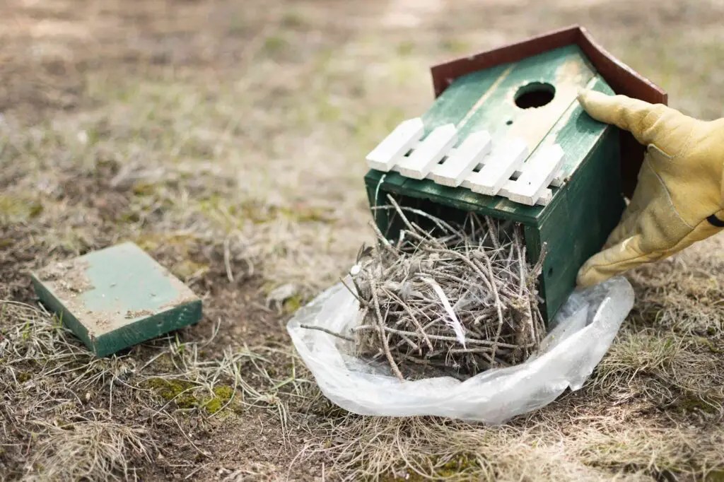 Bird Nest Box Maintenance 15 Easy Steps You Can Do Yourself The