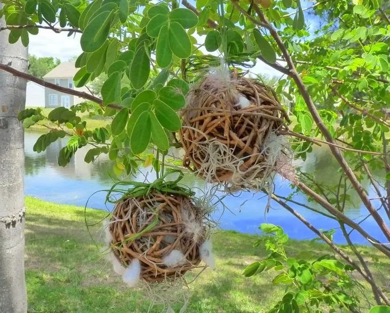 Easy DIY Bird Nest Yarn Holder The Bird Geek