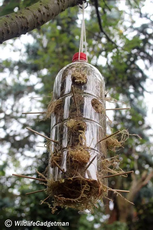 Easy DIY Bird Nest Yarn Holder The Bird Geek