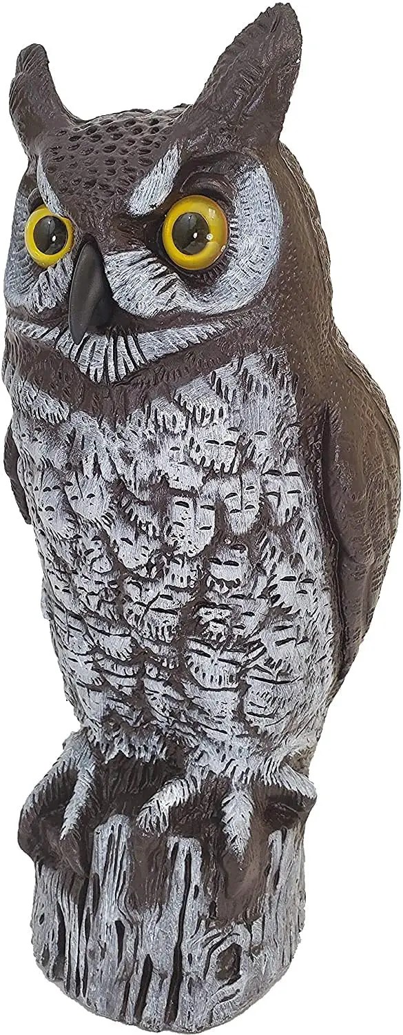 Bird Nest Deterrent Methods The Bird Geek