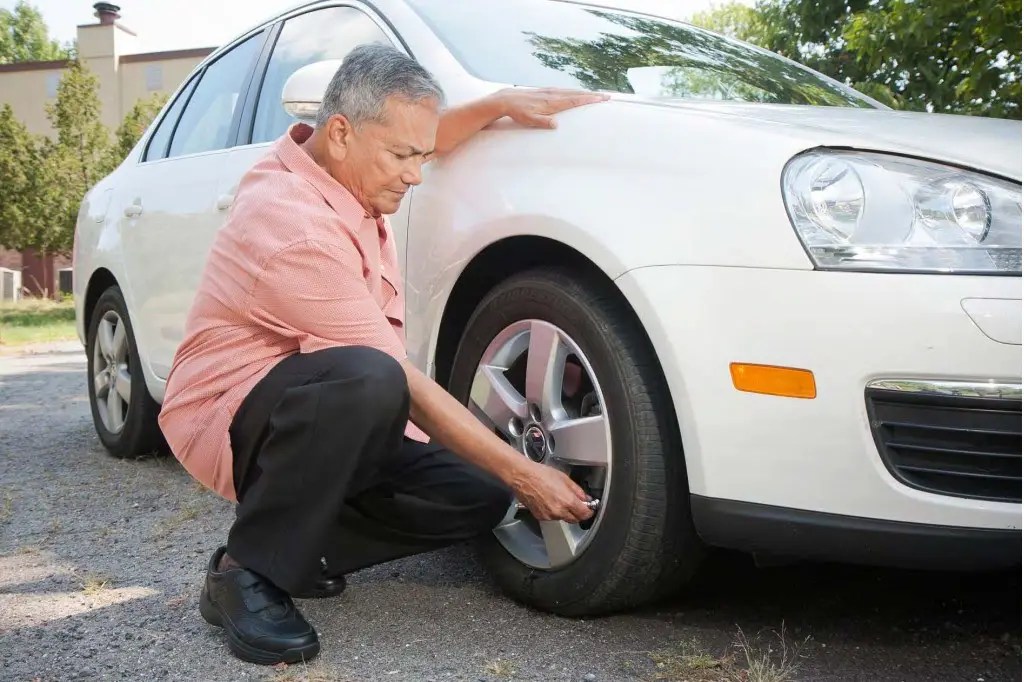 Effective Ways To Handle Bird Nest Under A Car Hood The Bird Geek