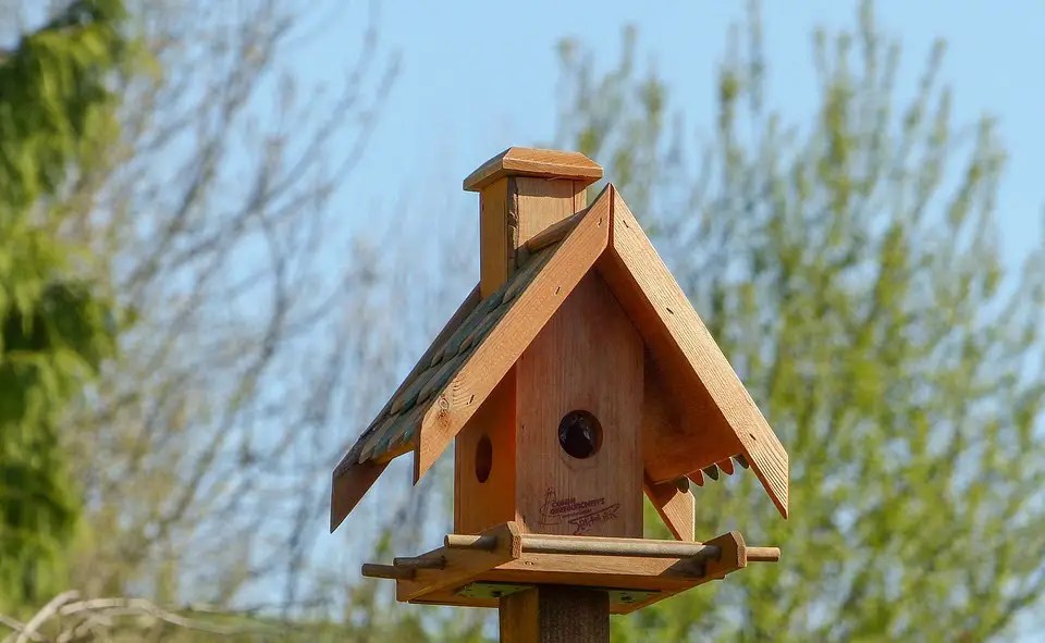 Importance Of Birdhouse Ventilation [Easy Tips] The Bird Geek