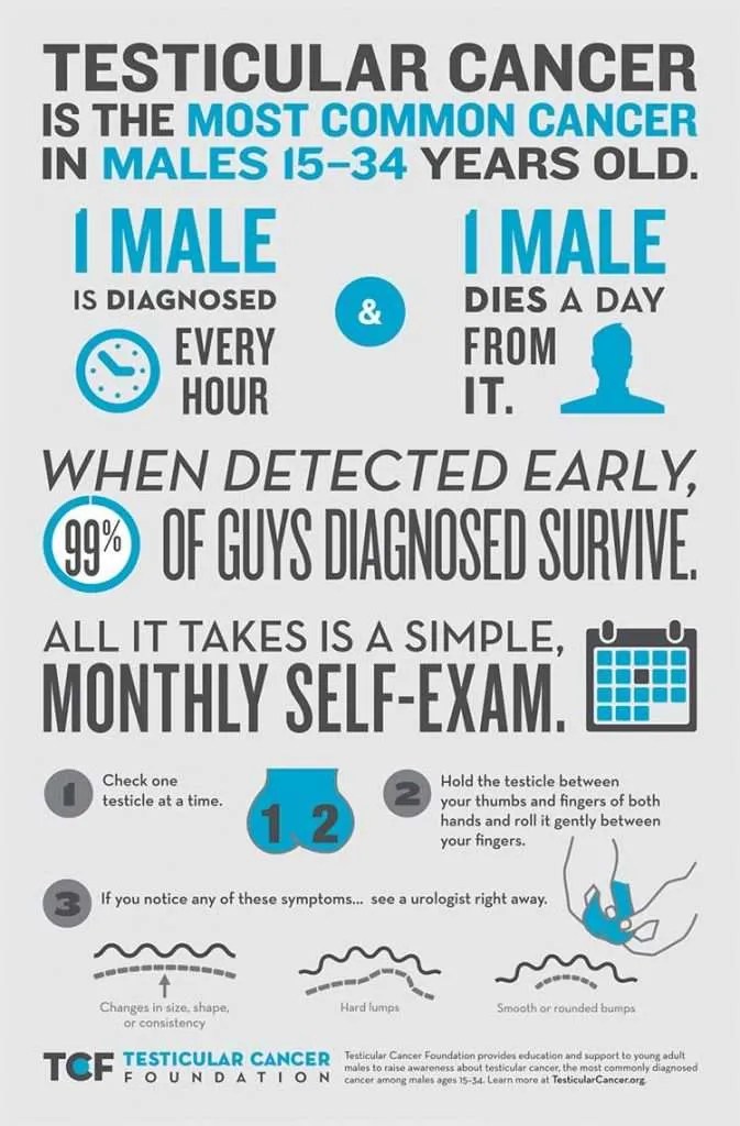 Testicular Cancer A Movember Issue for Young Men The Bite