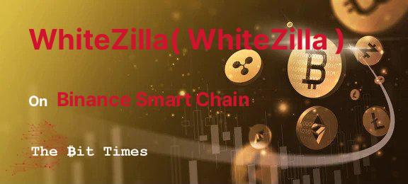 WhiteZilla( WhiteZilla ) 정보, WhiteZilla( WhiteZilla ) 차트, 시가 총액 및 가격