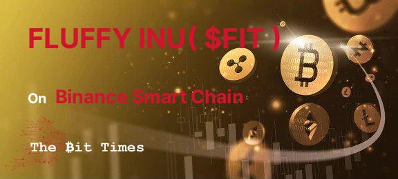FLUFFY INU( FIT ) info, FLUFFY INU( FIT ) chart, market cap, and