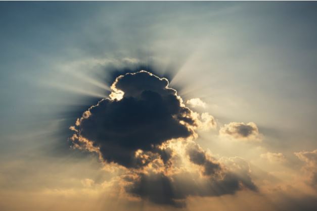 How poetry helped me cope with loss during a pandemic – The Black 