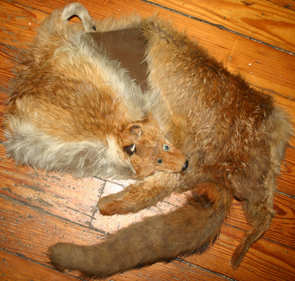 Vintage 1940s Red Fox Fur Stole Attached Head Feet Tail
