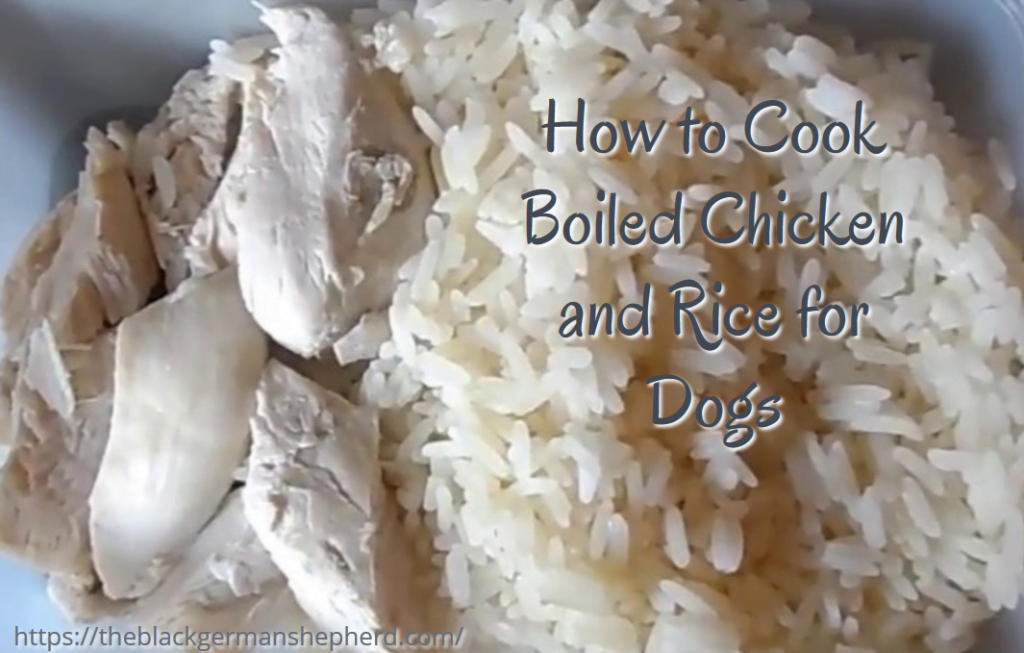?Boiled Chicken and Rice for Dogs Recipe for Dogs 2023