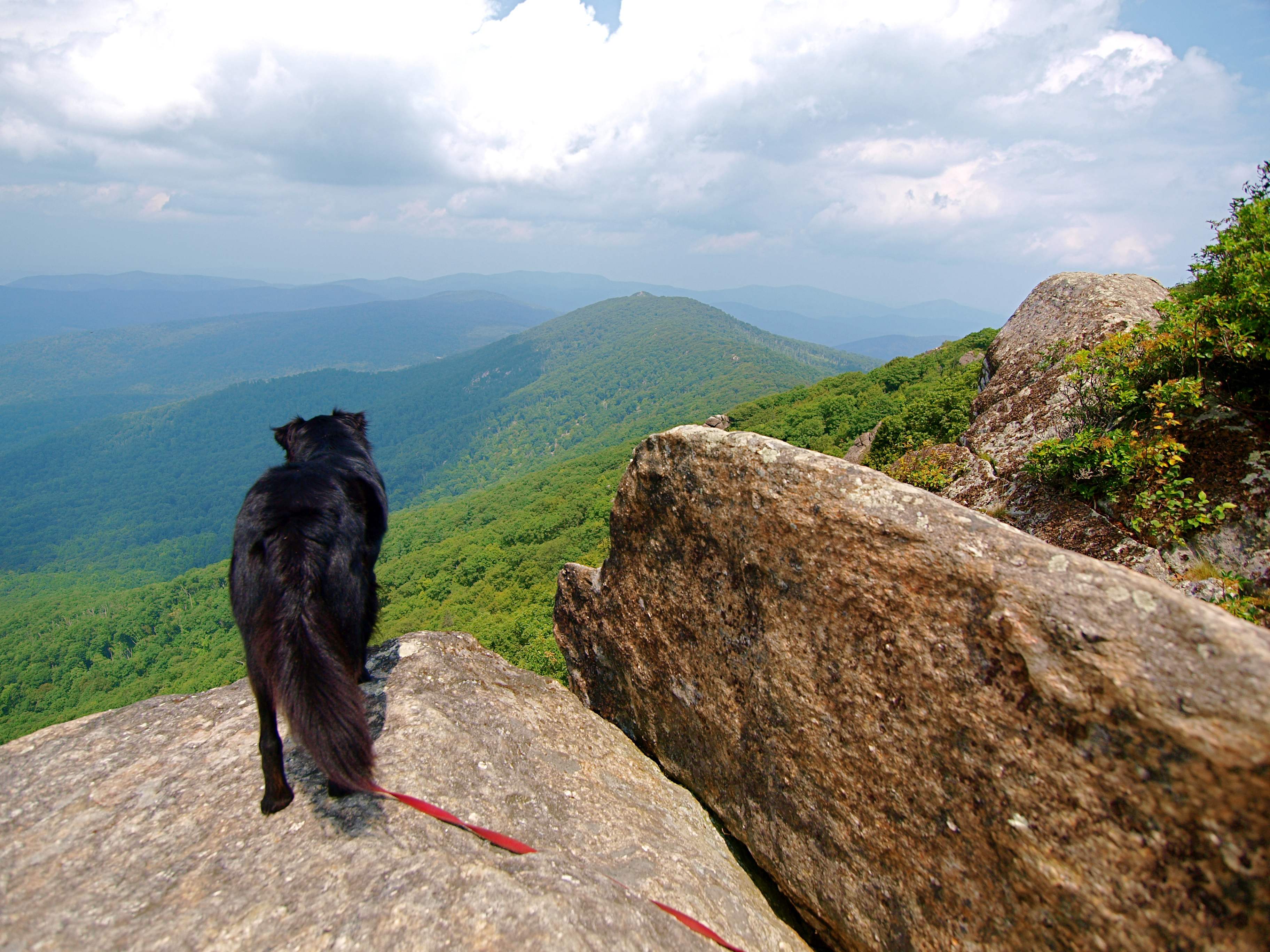 All Seasons Shenandoah National Park, VA Travels with the Blonde Coyote
