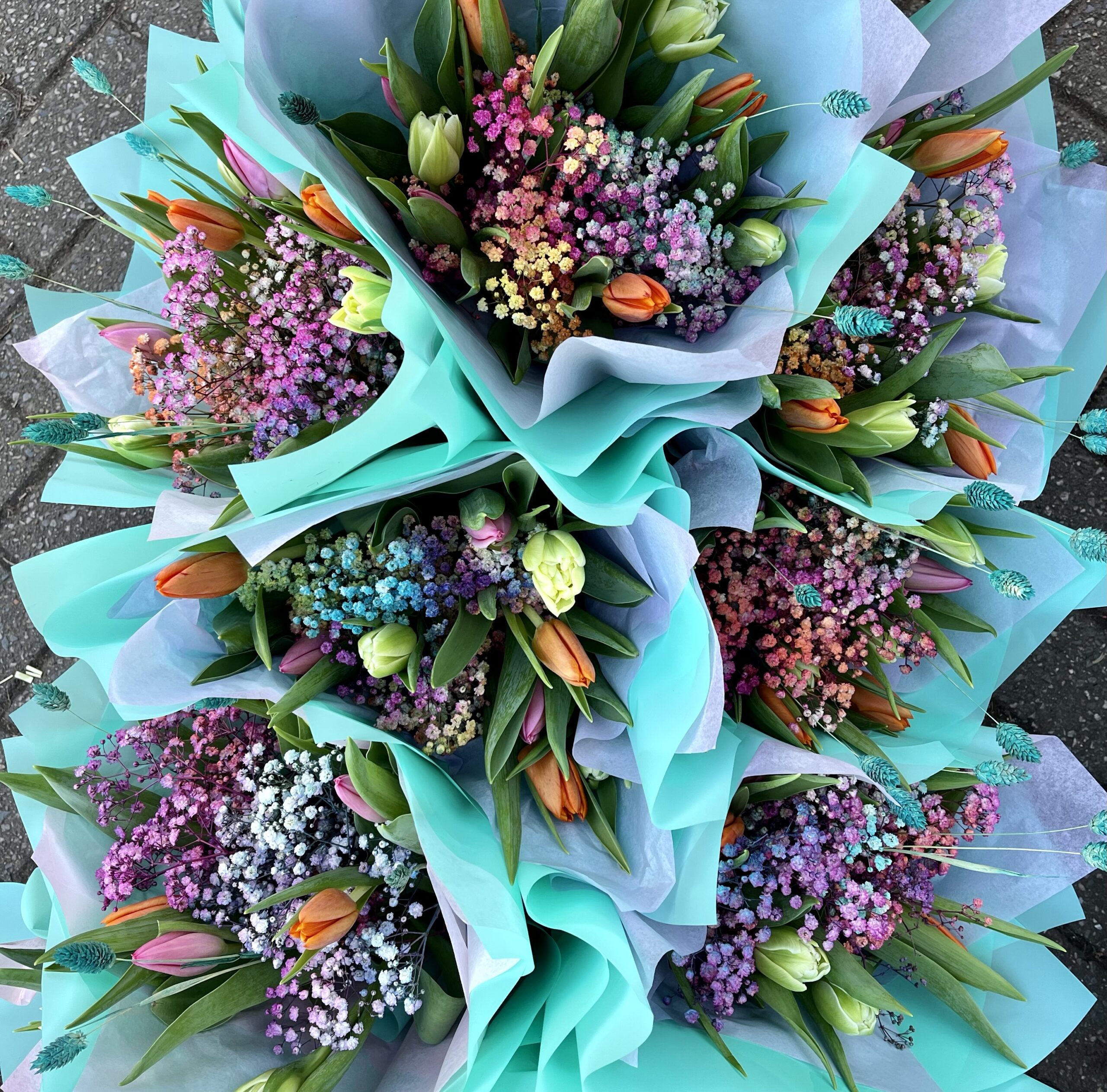 Rainbow Tulips The Bloom Project