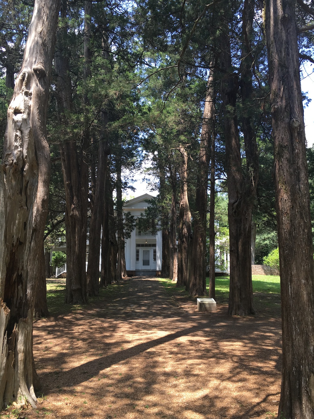 A Few of Our Favorite Things from William Faulkner's Rowan Oak The Bluegrass Situation