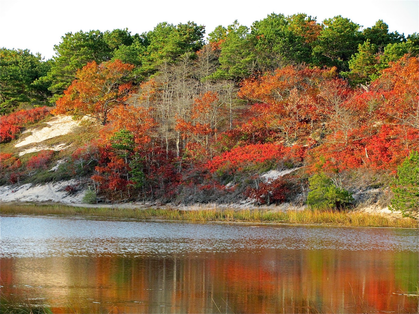 STUNNING AUTUMN & WINTER IN MAJESTIC PROVINCETOWN THE BLUNT POST