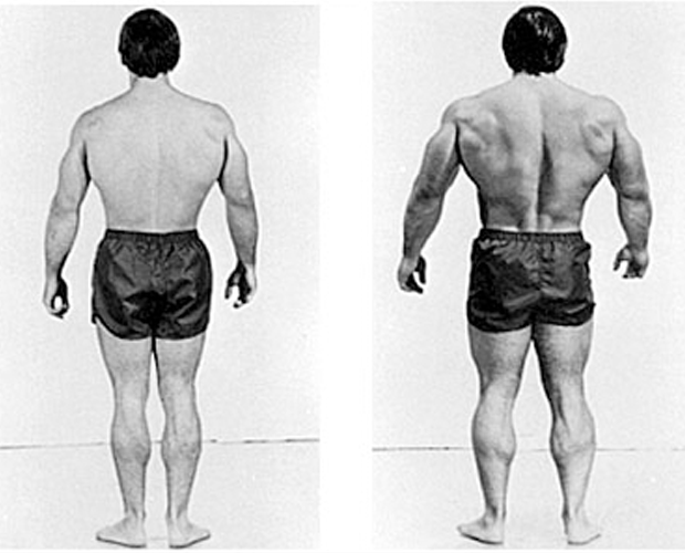 Arthur Jones Inventor of Nautilus Equipment and Pioneer of High