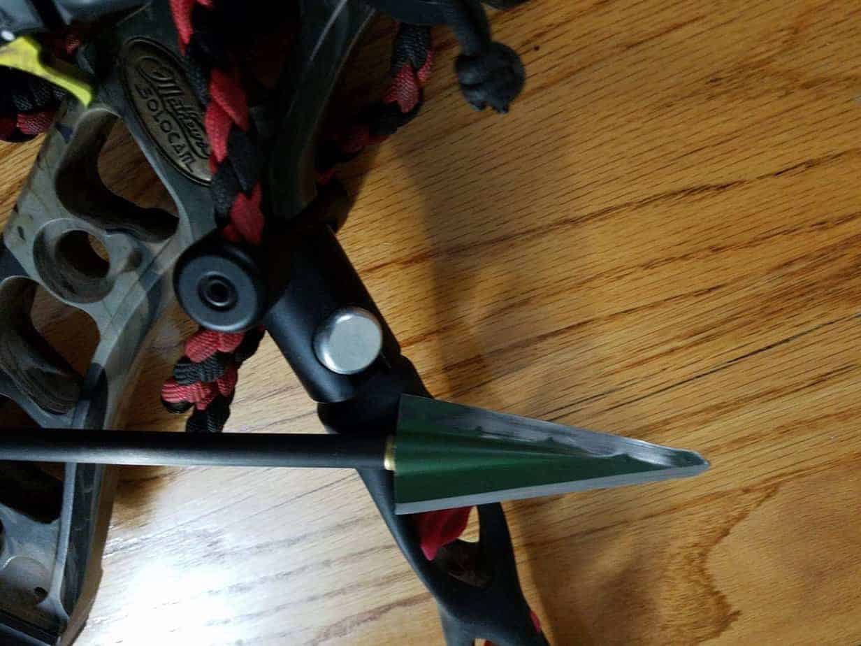 Best Broadheads For Recurve Bows The Body Training