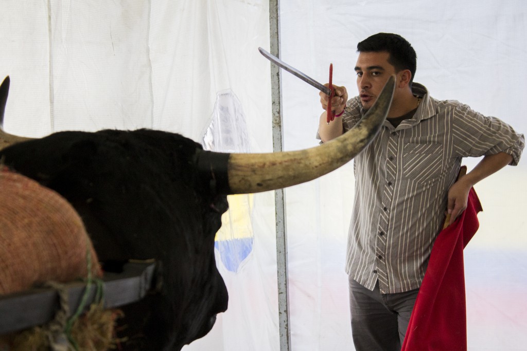 Bull on Constitutional court rules bullfighting is legal