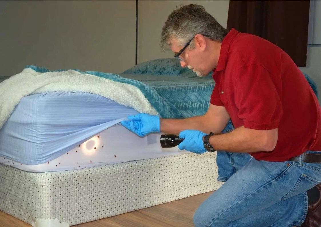 Bed Bugs Treatment Palm Coast FL Bomb Pest Control