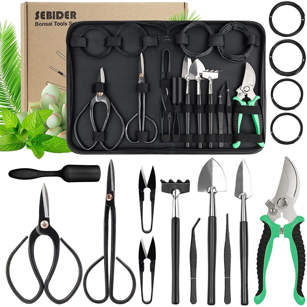 Bonsai Beginners Kit The Bonsai Master