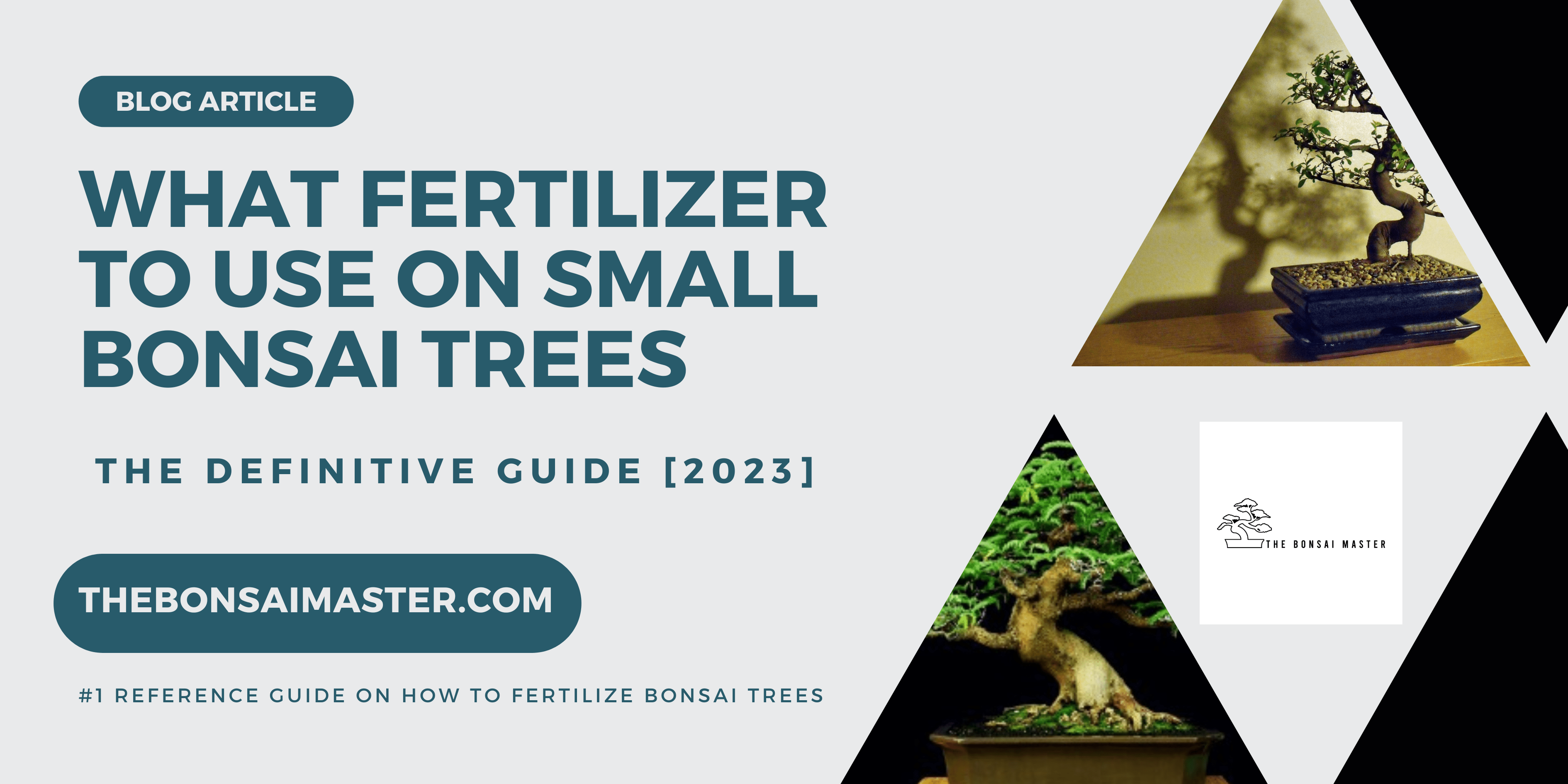 What Fertilizer To Use On Small Bonsai Trees The Bonsai Master
