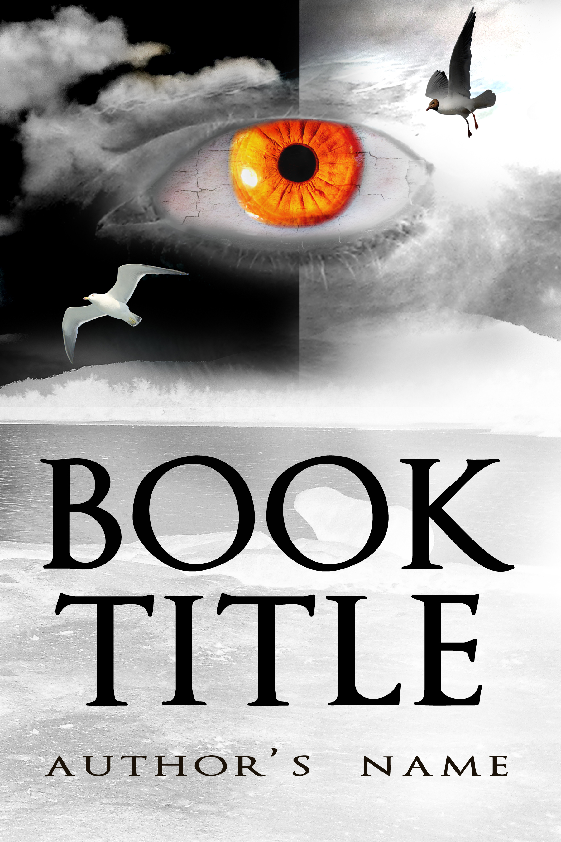 Eye The Book Cover Designer